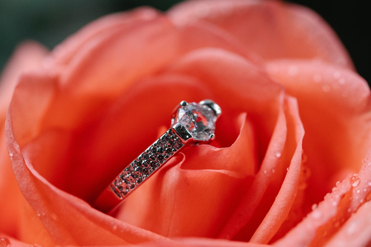 A white gold round diamond engagement ring inside a pink rose