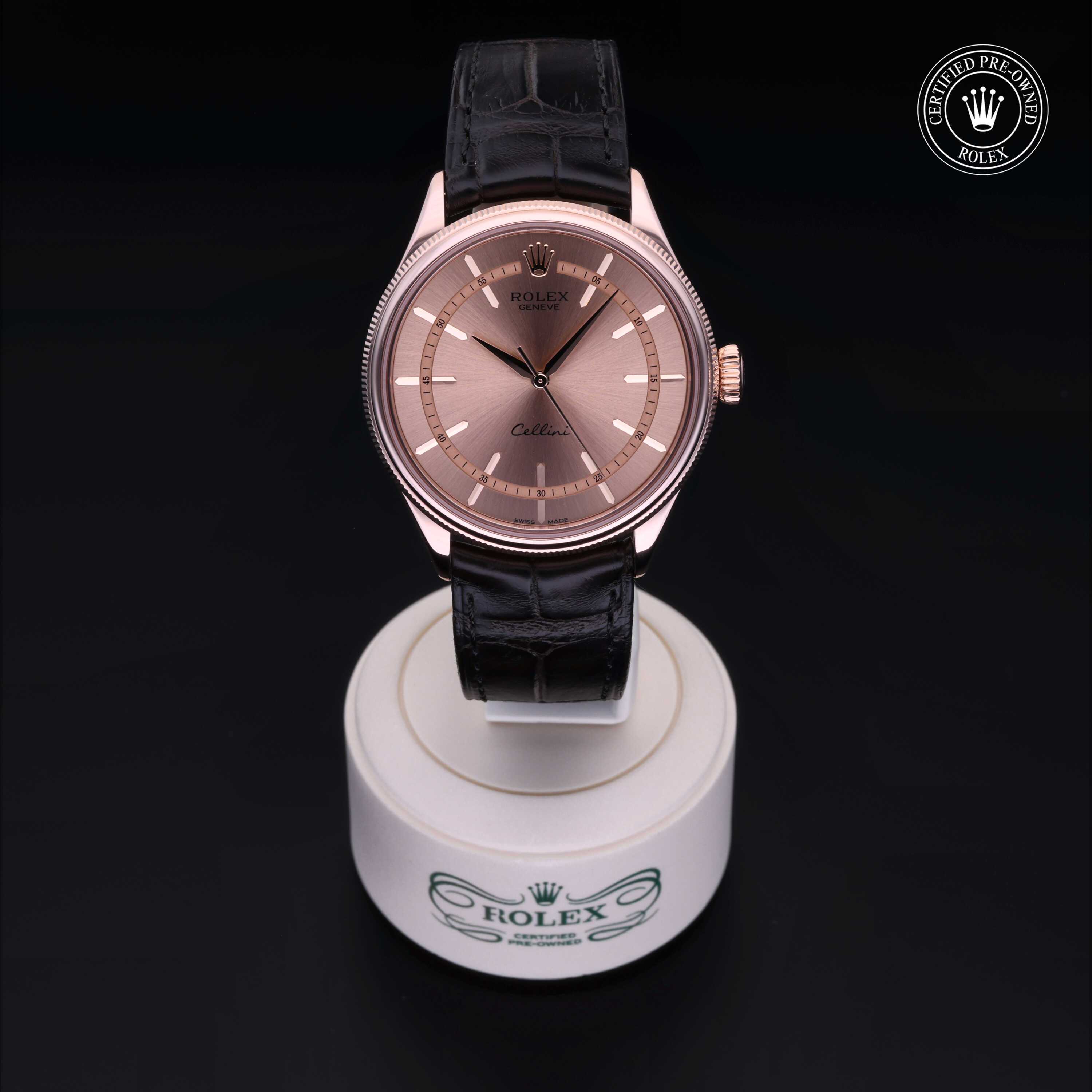Rolex Cellini in Gold 18 Carat Red M50505-0002 at Frank Adams Jewelers
