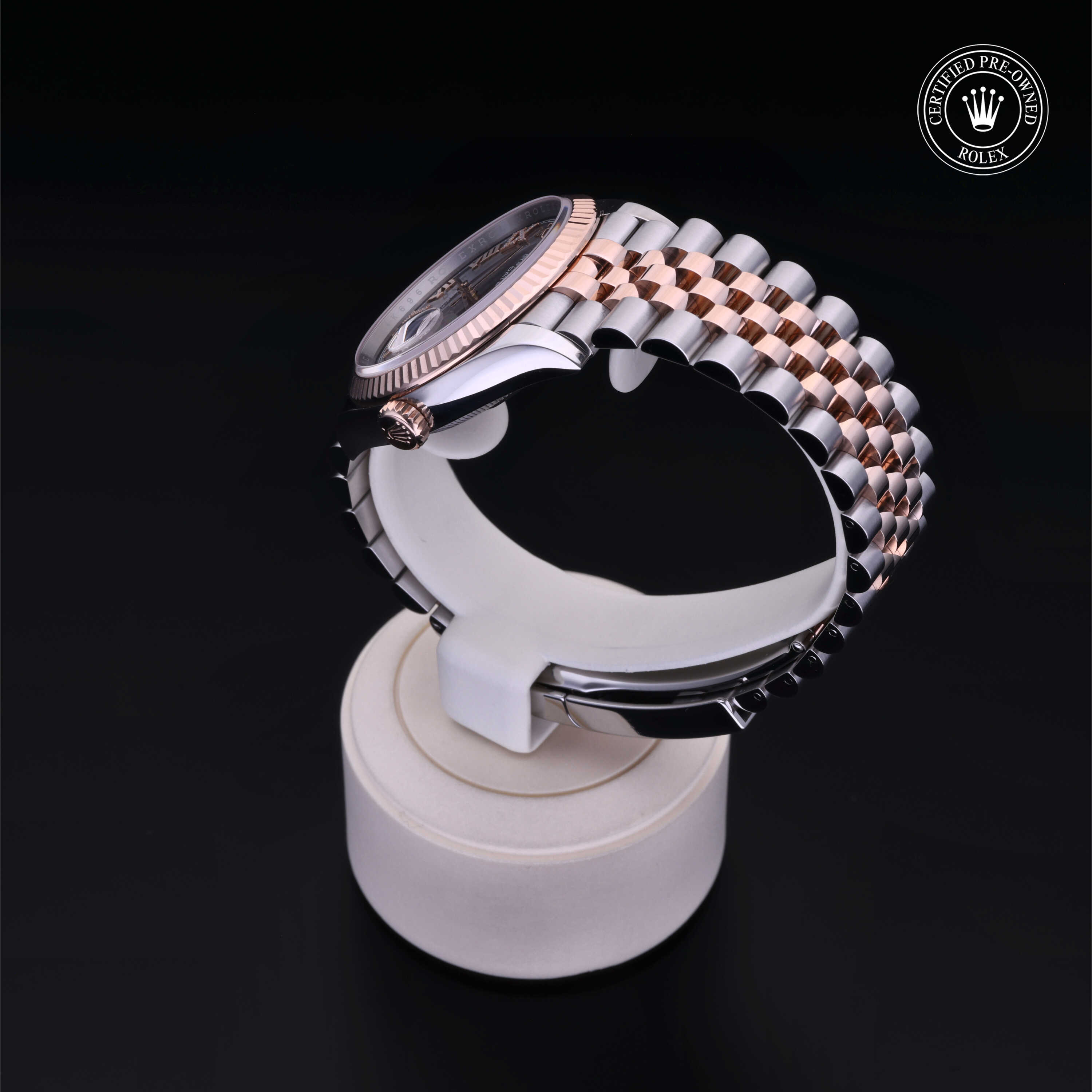 Rolex Datejust in Rolesor 18 Carat Red M126231-0023 at Frank Adams Jewelers