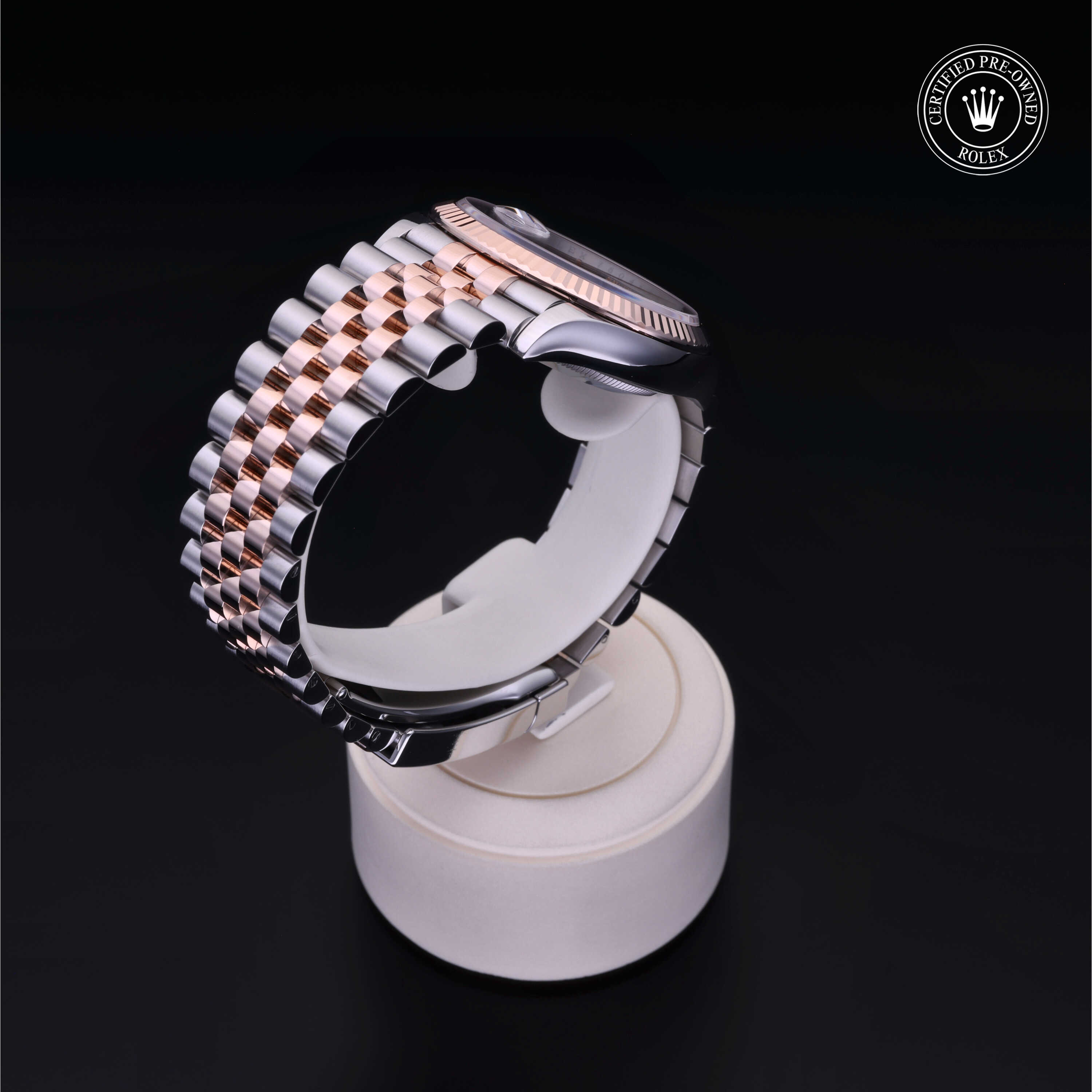 Rolex Datejust in Rolesor 18 Carat Red M126231-0023 at Frank Adams Jewelers